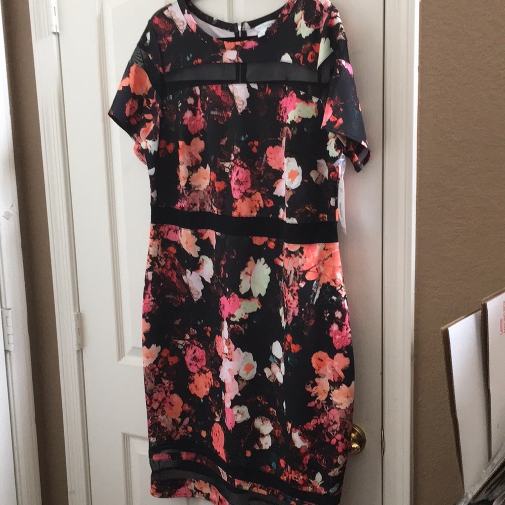 FINAL MARKDOWN NWT ladies boutique dress 1x